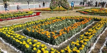 ফুল উৎসবে বাহারি নকশায় ফুলের বিছানা সাজানো হয়। দর্শনার্থীরা সকল ধরণের ফুলের সৌন্দর্য দেখে মুগ্ধ হন। ডিসি পার্ক, সীতাকুণ্ড, চট্টগ্রাম